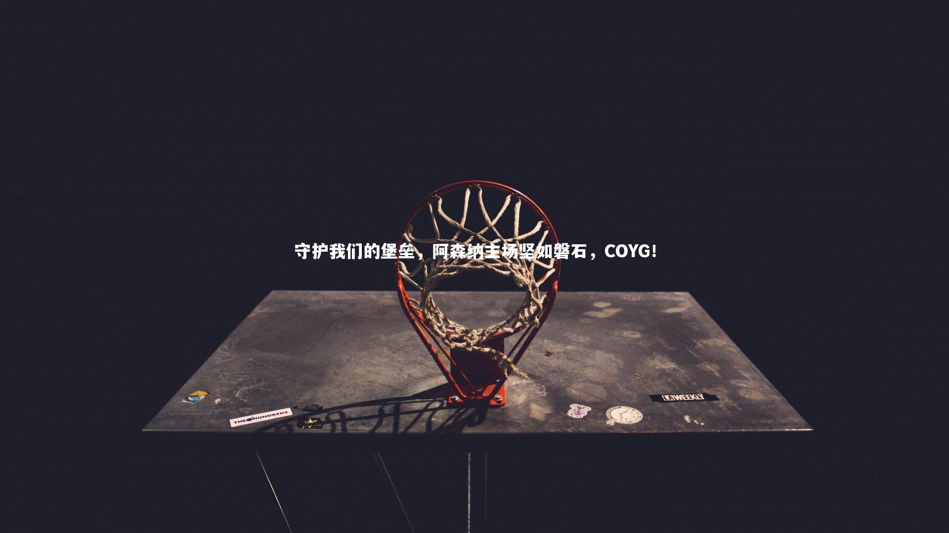 守护我们的堡垒,阿森纳主场坚如磐石,COYG!